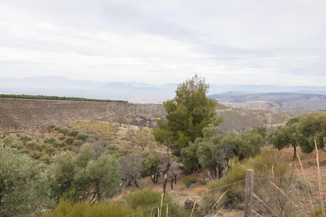 Magnífica finca de 400 olivos en Monachil — 30