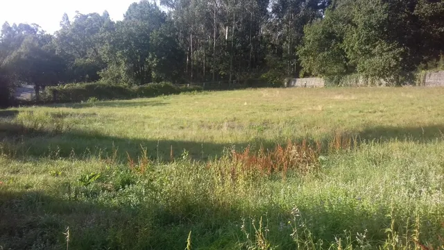 SOLAR EN VILLESTRO DE 2.618 M2 - foto 3