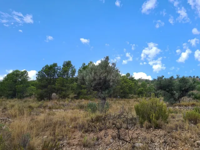 Parcela en Pinoso - foto 2