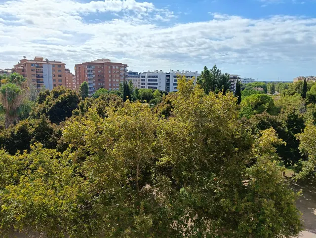 ALQUILER ANUAL: PISO en Parque del lago, peri 18, Castellón - foto 5