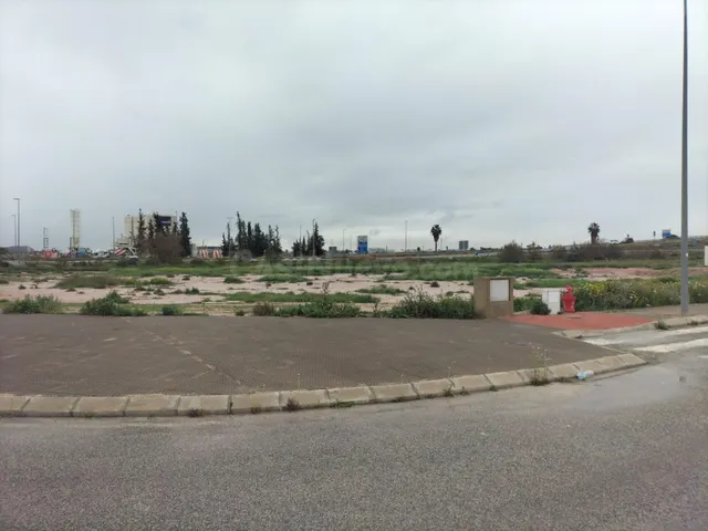 PARCELAS EN POLIGONO VIRGEN DEL CARMEN - foto 2