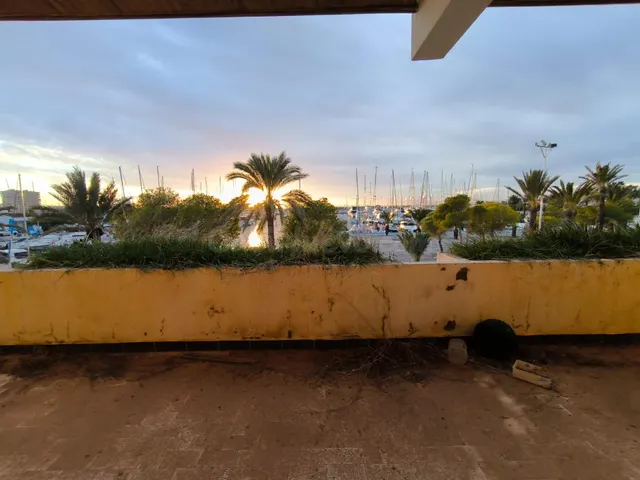 EN EL PUERTO TOMAS MAESTRE. UN OASIS EN MITAD DE LA MANGA - foto 2