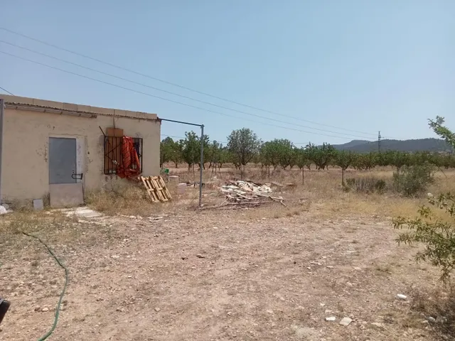 Campo en monovar — 6