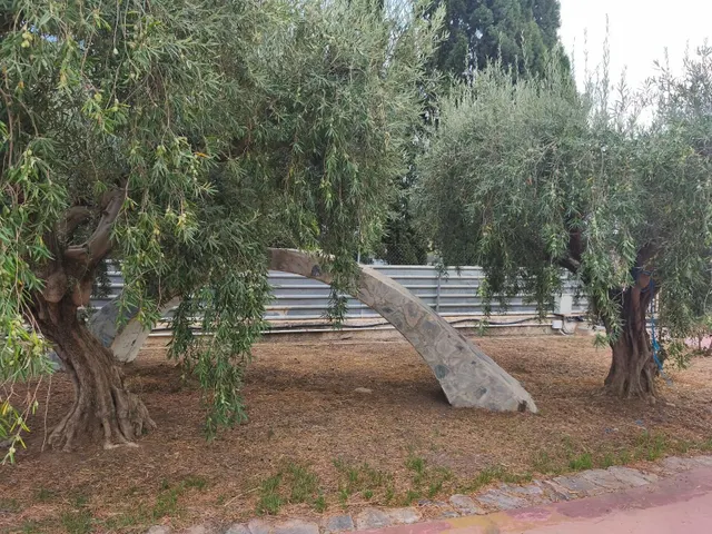 Chalet con piscina en peña las aguilas-Elche — 9