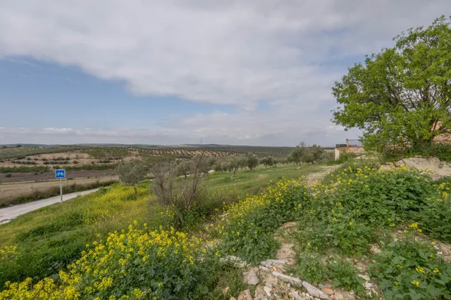 Parcela urbana de 985 m2 en Cúllar Vega (El Ventorrillo) — 48