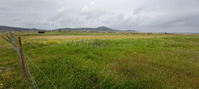 Terreno rural de 24000m2 en Sierra de Fuentes - foto 2