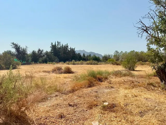 TERRENO RÚSTICO EN VENTA A TAN SOLO 10 MINUTOS DE ORIHUELA C - foto 5