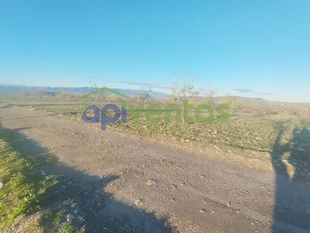 Casa de piedra con 61 hectáreas de terreno — 10