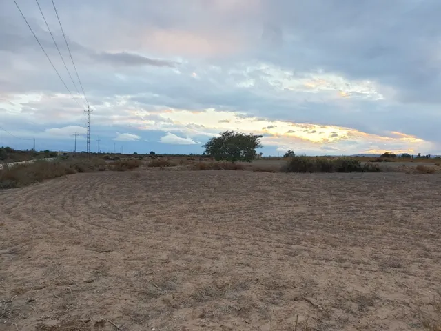 TERRENO EN EL MOLAR ( ZONA LA MARINA ) — 8