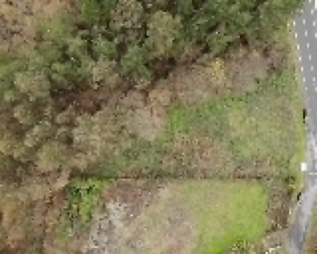 Finca Urbana en OzaCesuras — 6