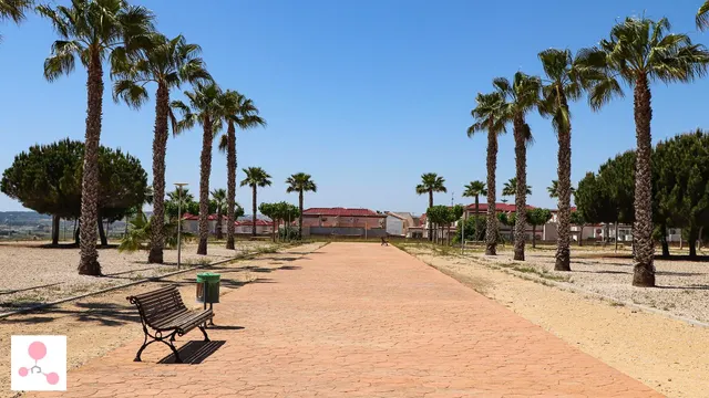 Villa de lujo de 4 dormitorios en una planta con piscina privada y sótano en la urbanización La Marina(San Fulgencio) — 8