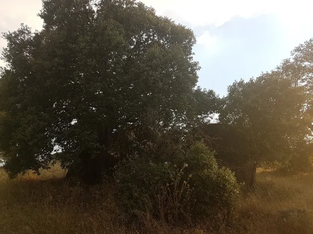 Terreno rural en venta - Alrededores — 6