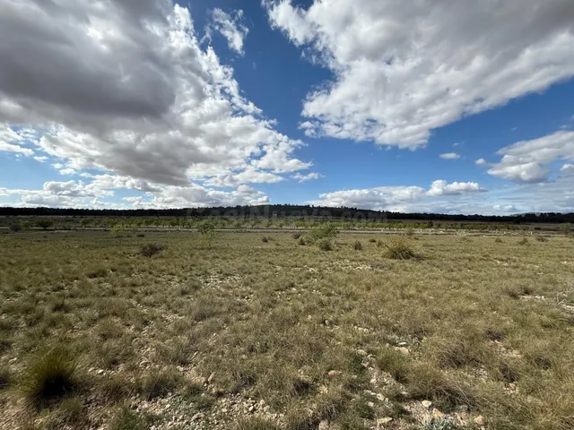 Terreno en Yecla sin agua - foto 4