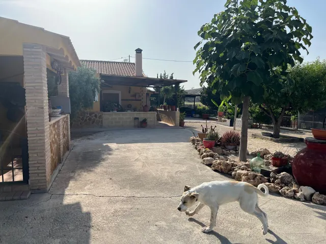 CAMPO DE FORTUNA 616652603 — 18