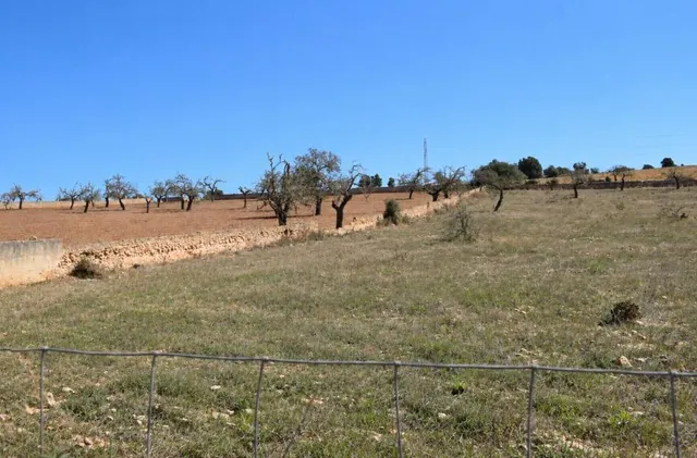 Finca rústica con posibilidad de vivienda en Ariany — 7