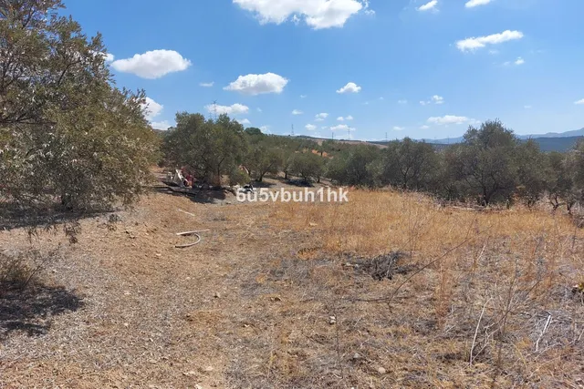 Parcela en venta - Alora pueblo — 7