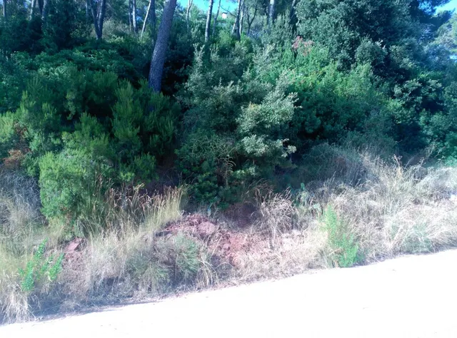 Espectacular terreno que da a dos calles, en Corbera de Llobregat, cerca Hotel Can Fisa. — 13