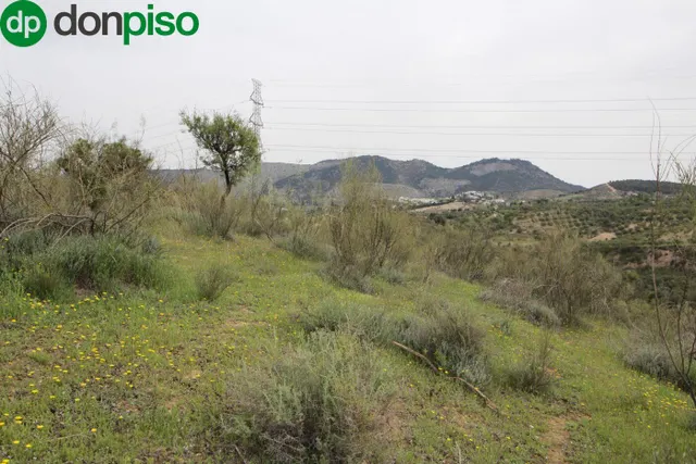FINCA EN CORTIJO SAN JERÓNIMO (BARTODANO) — 33