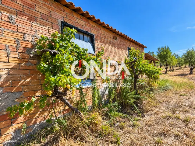 Finca rústica de 29.534 m2 con edificación de 314 m2 y pozo en Seixols, Tremp — 2