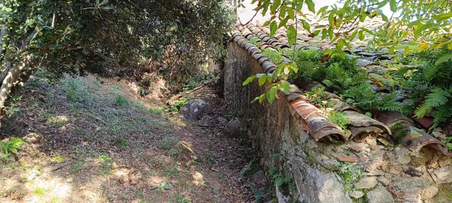 Parque natural del montseny (afueras riells): masía típica catalana catalogada a reformar — 31