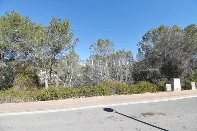 TERRENO EN MAS ALBA — 3