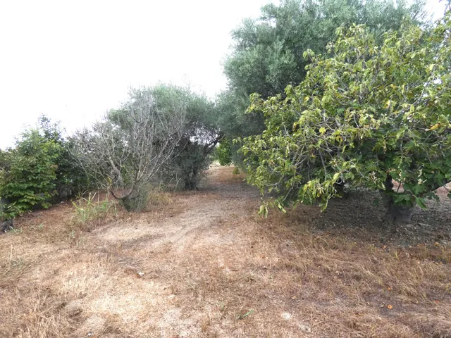+Oportunidad Única: Casa para Reformar en Entorno Rural y Ecológico+ — 19