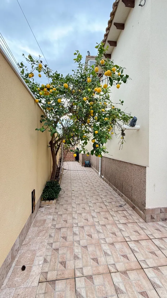Chalet de lujo en Los Balcones, Torrevieja — 9