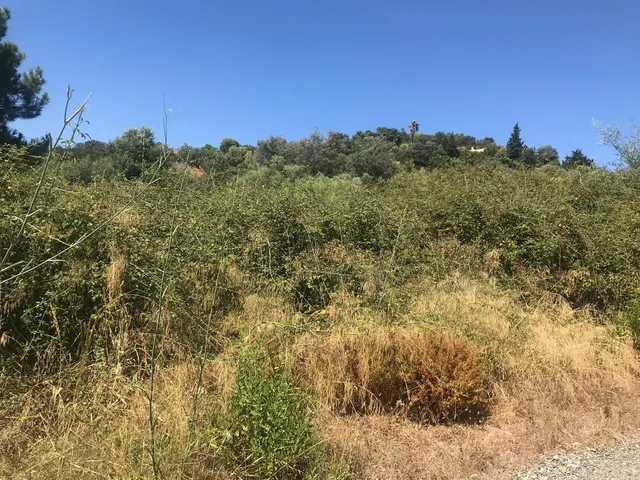 Parcela en venta - Costa Del Sol — 7
