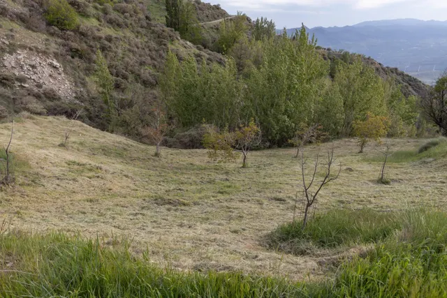 Cortijo Sierra Nigüelas — 46