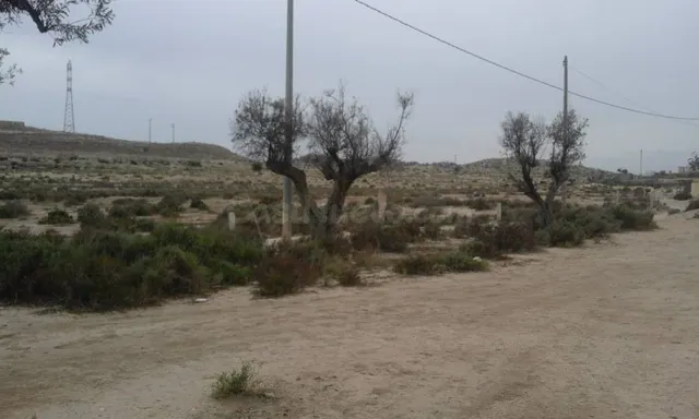 SE VENDE O ALQUILA TERRENO CON CASA PARA REFORMAR , 25.000 M - foto 3