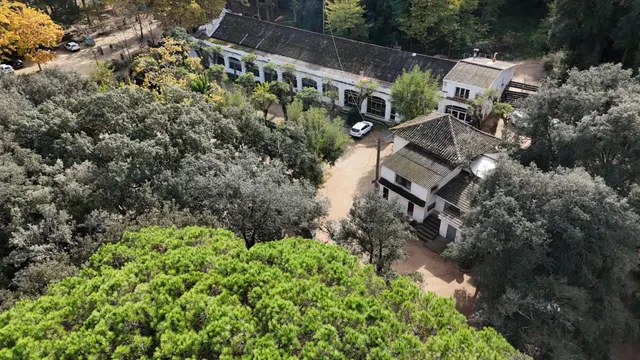 Finca rústica de 9 hectáreas en Arenys de Munt — 5
