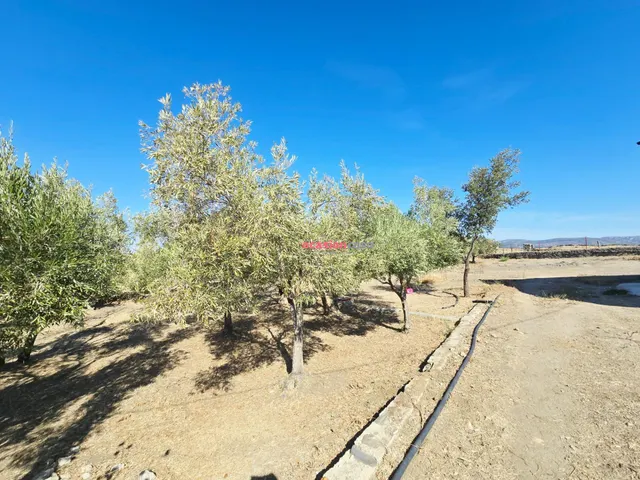 Chalet en Torrecampo — 17