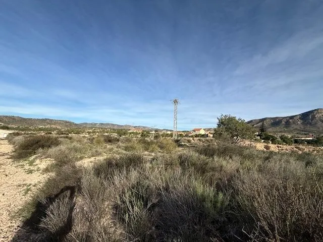 Venta  de terreno en Barinas (Abanilla) — 2