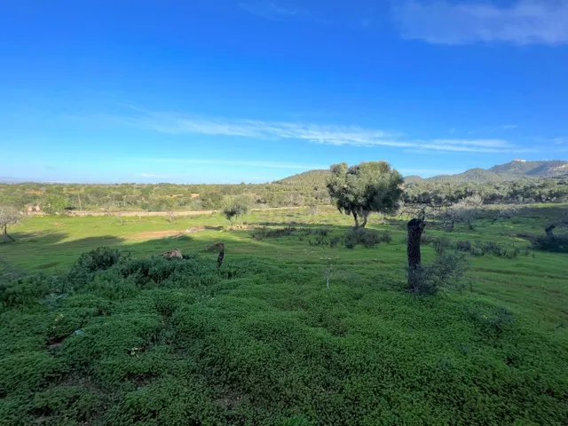 Terreno en Felanitx - foto 5