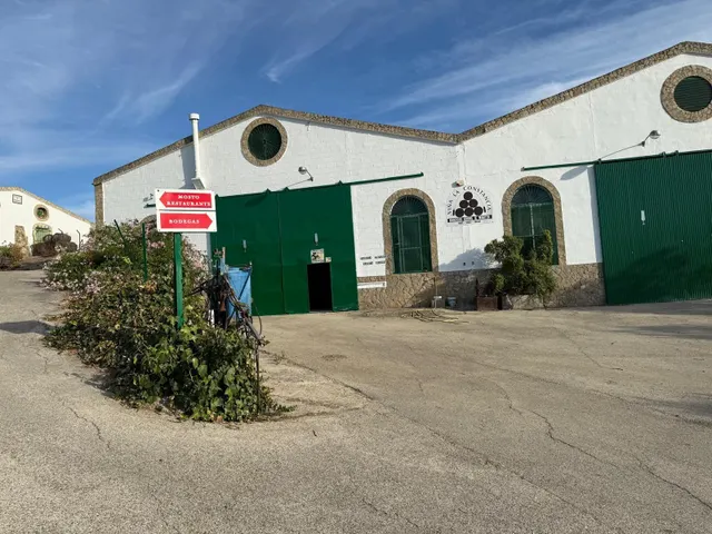 Viñedo de 24,40ha 1300m2 naves y 400m2 restaurante — 8