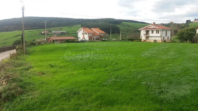 PARCELA URBANA EN ENTORNO NATURAL Y A 2 KILOMETROS DE LA PLA - foto 4
