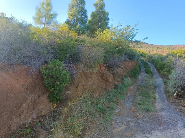 Terreno Rústico en el Encantador Paisaje de Siete Lomas, Ara