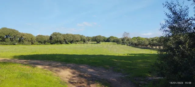 Terreno junto a campo de golf de Monteenmedio
