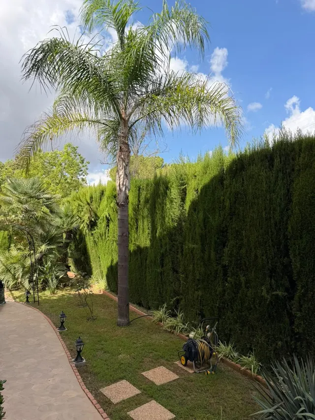 Casa 5 habitaciones 400m² en venta - Mas Camarena — 22