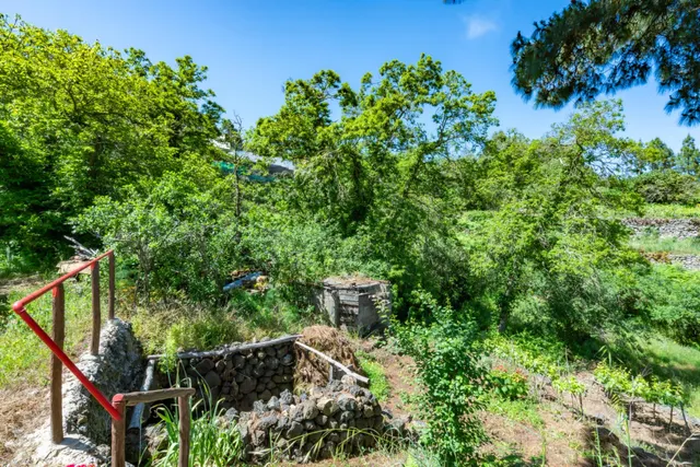 Finca con vivienda y viñedos en Icod de los Vinos — 10
