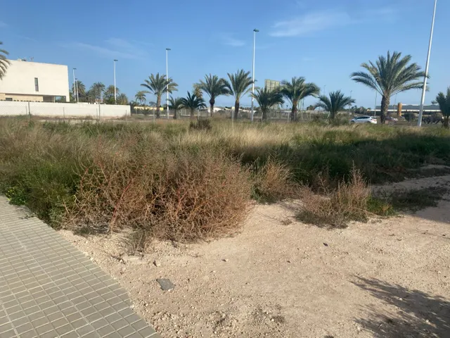 Exclusiva Parcela de 250 metros en La Torreta, Elche — 32