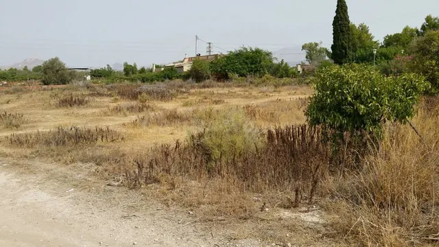 SE VENDE TERRENO EN ASPE, ALICANTE, ESPAÑA, SPAIN. - foto 4