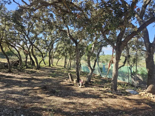Terreno para recreo vallado y con acceso por camino asfaltad - foto 3