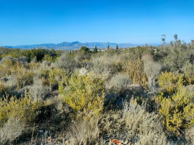 INMOBILIARIA SAN JOSE VENDE PARCELA RUSTICA EN ASPE ZONA BOR - foto 5