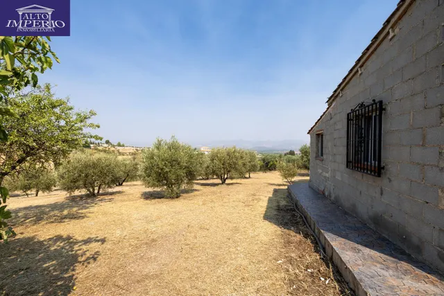 Encanto rústico con casita y olivos en Moraleja de Zafayona 🌿 — 22