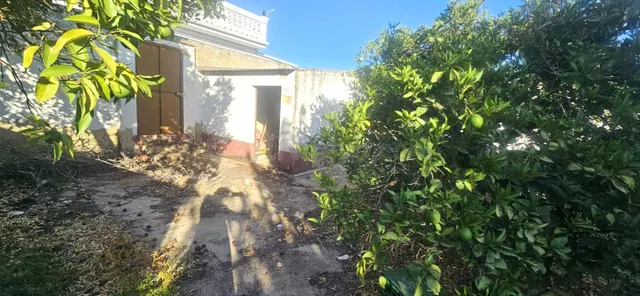 Villanueva del Río y Minas (Sevilla) | Casa con amplio patio - foto 3