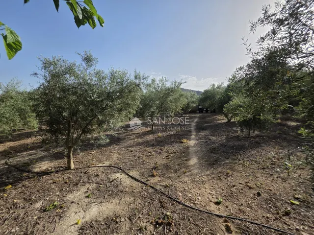 Venta de chalet en Aspe, zona la ofra — 23