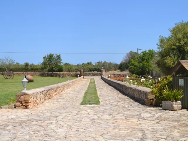 Magnifica finca — 3