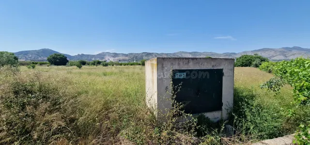 Huerto a un paso de Castellón - foto 3