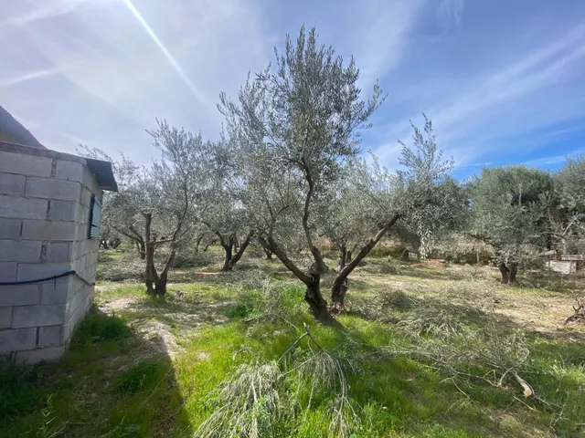 Cortijo muy cerca de pueblo de Tíjola — 13